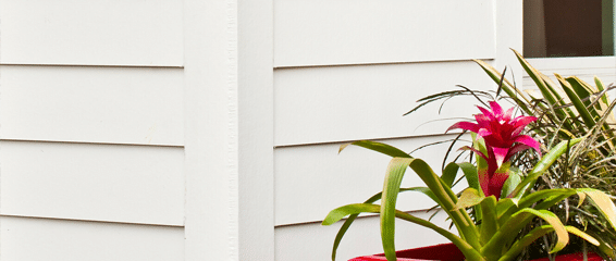 Image of newly installed white siding on a house, showcasing a clean and modern exterior appearance